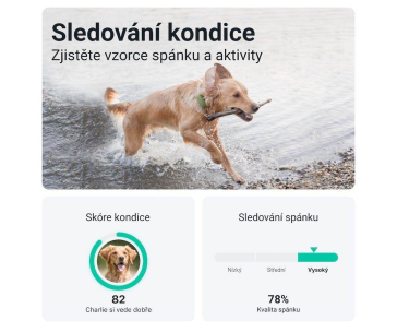 Tractive GPS DOG XL – sledování polohy a aktivity pro psy - zelený