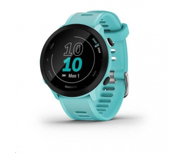 Garmin GPS sportovní hodinky Forerunner 55 Blue