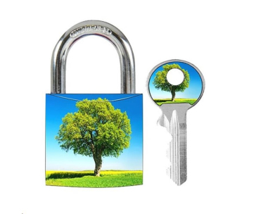 Master Lock 3430EURDAST_tree visací zámek z pevného hliníku