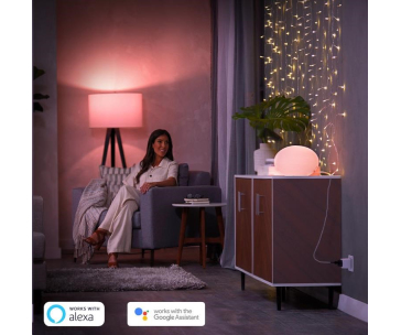 Bazar - PHILIPS Hue Smart Plug CZ / SK - POŠKOZENÝ OBAL