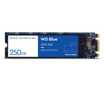 WD BLUE SSD 3D NAND WDS100T3B0B 1TB SA510 M.2 SATA, (R:560, W:520MB/s)