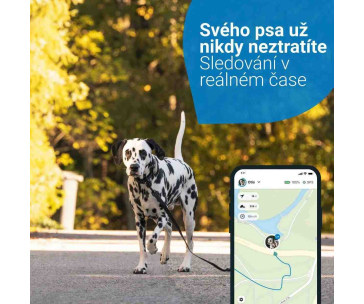 Tractive GPS DOG 4 LTE – sledování polohy a aktivity pro psy - hnědá