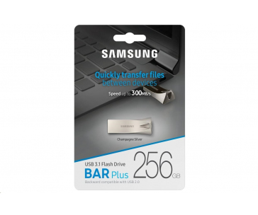 Samsung USB 3.1 Flash Disk 256GB - silver