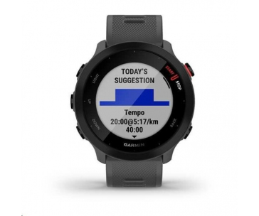 Garmin GPS sportovní hodinky Forerunner 55 Grey