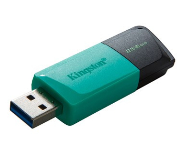 Kingston Flash Disk 256GB USB3.2 Gen 1 DataTraveler Exodia M (Black + Teal)