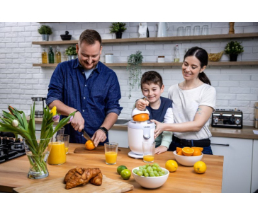 Lauben Electric Citrus Juicer 110WT - odšťavňovač