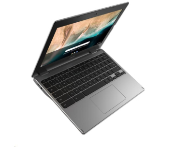 ACER NTB Chromebook 311 (NX.KX2EC.001),N100,11.6"HD,4GB,128GB eMMC,Intel Graphics,Chrome OS,Silver