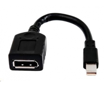 HP (Bulk 12) miniDP-to-DP Adapter Cables