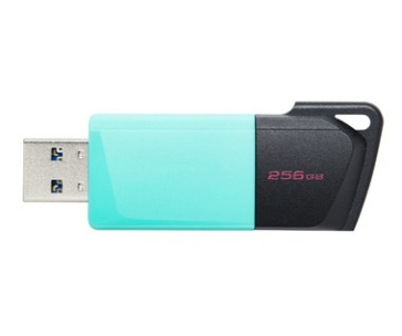 Kingston Flash Disk 256GB USB3.2 Gen 1 DataTraveler Exodia M (Black + Teal)