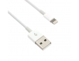 C-TECH kabel USB 2.0 Lightning (IP5 a vyšší) nabíjecí a synchronizační kabel, 2m, bílý