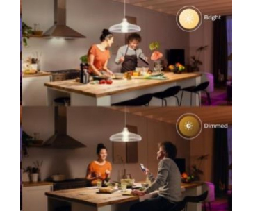 PHILIPS Hue White žárovka 15.5W E27 A67 DIM