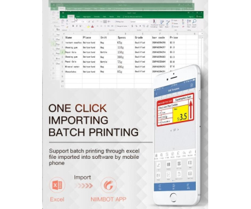 Niimbot Tiskárna štítků B21S Smart, černá + role štítků 210ks