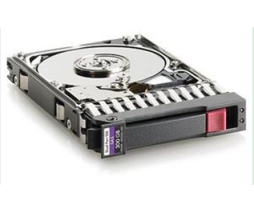 EMC 300GB 15K SAS 3,5 STE30065CLAR300 SAS Seagate