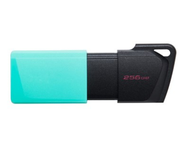 Kingston Flash Disk 256GB USB3.2 Gen 1 DataTraveler Exodia M (Black + Teal)