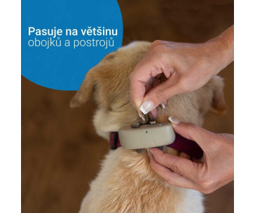 Tractive GPS DOG 4 LTE – sledování polohy a aktivity pro psy - hnědá